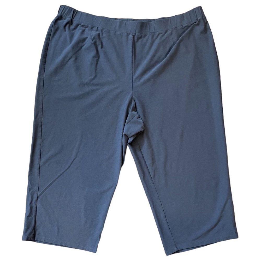 Eileen fisher Woman gray cropped pants size 3X